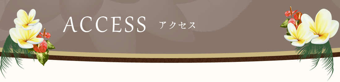 アクセス