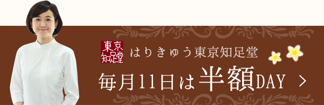毎月11日は半額DAY